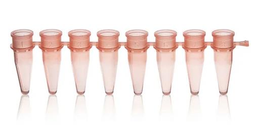 781321 | PCR 8 tube strip 0.2mL rose bag of 125