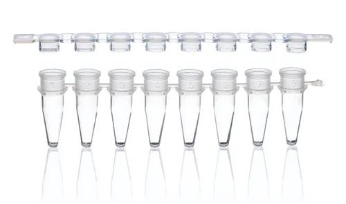 781326 | PCR tubes and flat caps strip of 8 colorless PP 25