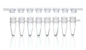781326 | PCR tubes and flat caps strip of 8 colorless PP 25