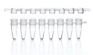 781327 | PCR tubes and domed caps strip of 8 colorless PP 2