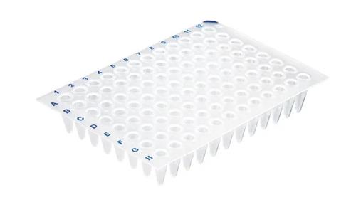 781368 | Blue coding, cut corner A12, PP, BIO-CERT® PCR QUALITY