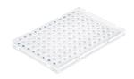 781373 | Blue coding, transparent, cut corner A1, PP, BIO-CERT® PCR QUALITY