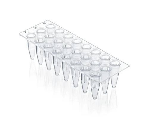 781411 | 24 well qPCR plate PP no skirt 40 plates