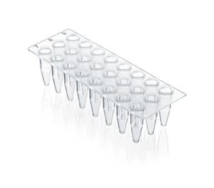 781411 | 24 well qPCR plate PP no skirt 40 plates