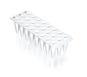 781412 | 24 well qPCR plate white SPECIAL ORDER no skirt 40