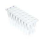 781412 | 24 well qPCR plate white SPECIAL ORDER no skirt 40
