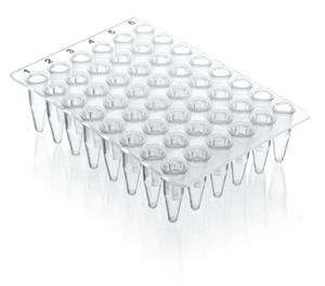 781415 | 48 well qPCR plate PP SPECIAL ORDER no skirt 20 pl