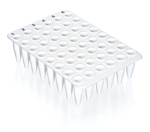 781416 | 48 well qPCR plate white SPECIAL ORDER no skirt 20