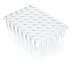 781416 | 48 well qPCR plate white SPECIAL ORDER no skirt 20