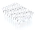 781416 | 48 well qPCR plate white SPECIAL ORDER no skirt 20