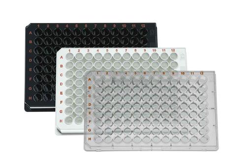 781962 | BRANDplates®, 96-well, cellGrade™, PS, transparent, F-bottom, BIO-CERT® CELL CULTURE STERILE