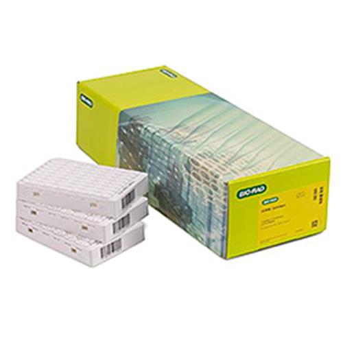 12006859 | Cartridge QX ONE GCR96 Pack of 10