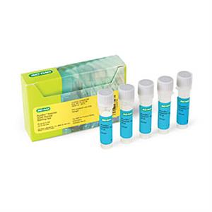 1351304 | PUREBLU HOECHST33342 NUCLR DYE
