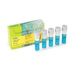 1351304 | PUREBLU HOECHST33342 NUCLR DYE