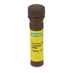 1610380 | Precision P StrepTactin HRP 0.3ml