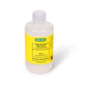 1610416 | SDS Solution 10 250 ml