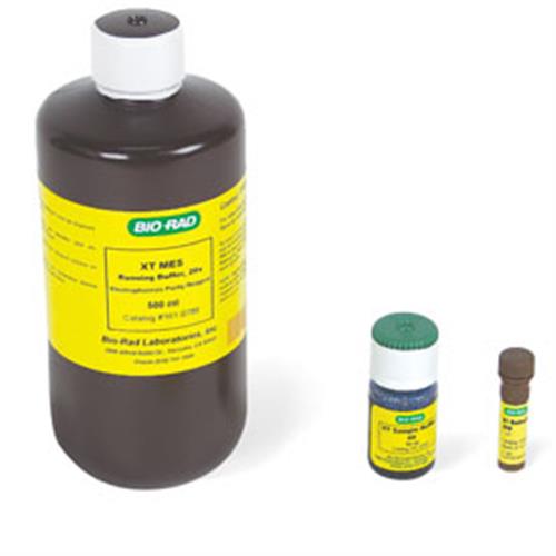 1610796 | XT MES Buffer Kit