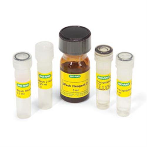 1632140 | READYPREP 2 D Cleanup Kit 5 Prep