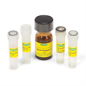 1632140 | READYPREP 2 D Cleanup Kit 5 Prep