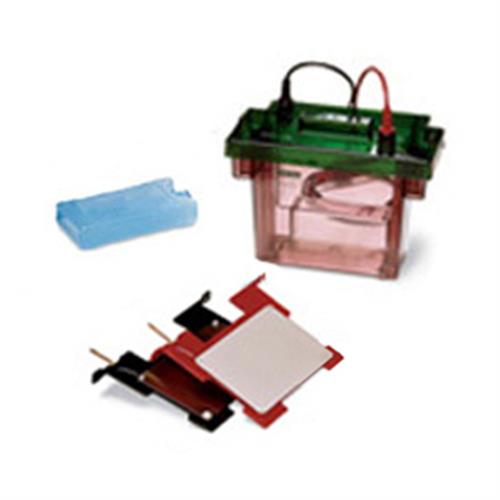 1656024 | Criterion Cell Plate Blotter System