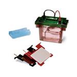 1656024 | Criterion Cell Plate Blotter System