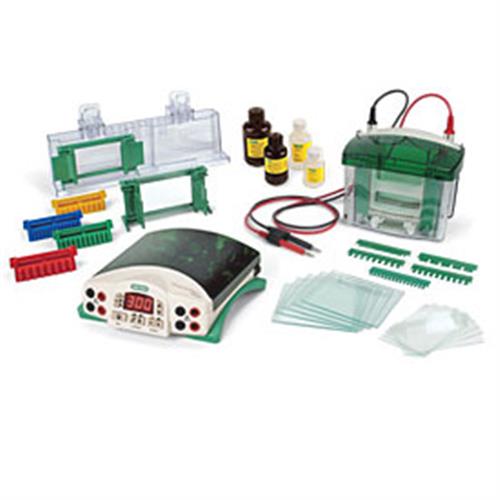 1658025FC | Tetra Cell PP Basic Stain Free FastCast