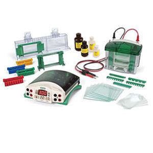 1658025FC | Tetra Cell PP Basic Stain Free FastCast