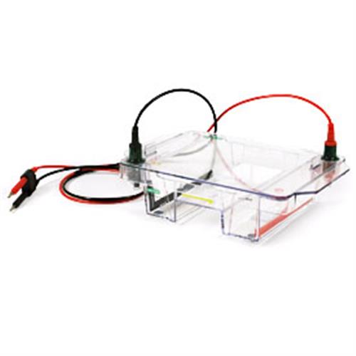 1704405 | Wide Mini Sub Cell GT Syst