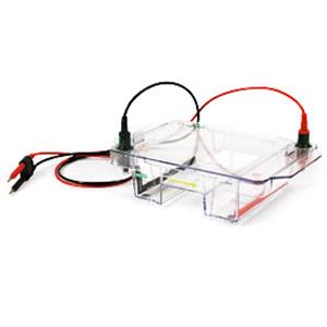 1704405 | Wide Mini Sub Cell GT Syst