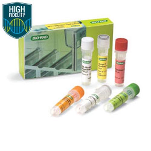 1708896 | iScript Select cDNA Synthesis KT 25x20ul