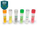 1708897 | iScript Select cDNA Synthesis 100x20ul