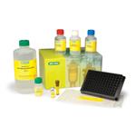 171304006M | Bio Plex Pro Cell Signaling Reagent Kit