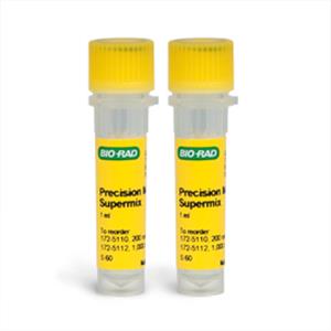 1725110 | Precision Melt Supermix 200 Rxn