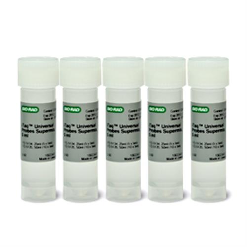 1725134 | iTaq Universal Probes Supermix 5 x 5 ml