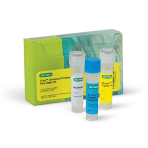 1725140 | iTaq Universal Probes 1 Step Kt 100 Rxn