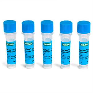 1725211 | SsoFast EvaGreen Smx w Low ROX 5 ml