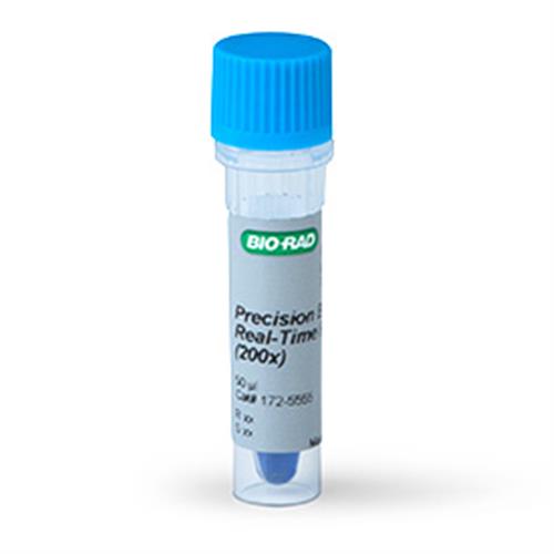 1725555 | Precision Blue Real Time PCR Dye 55 ul