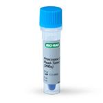 1725555 | Precision Blue Real Time PCR Dye 55 ul