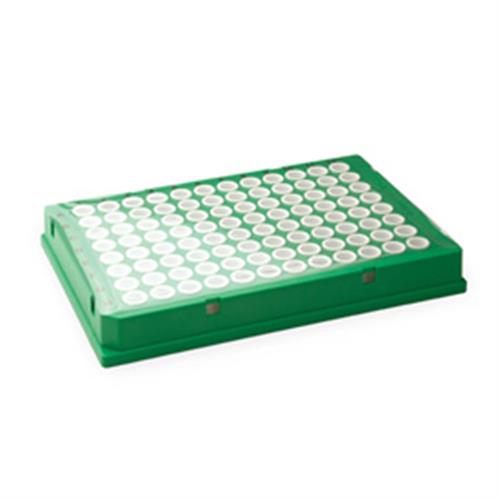 1814035 | PERMANENT CLEAR HEAT SEAL