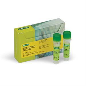 1864033 | QX200 ddPCR EvaGreen Smx 2 x 1 ml