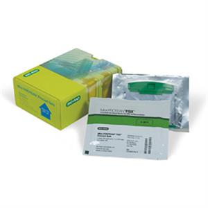 4561091 | 4 20 MP TGX Gel 7 cm IPG prep 250 l x10