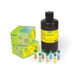 5000202 | Quick Start Bradford Protein Assay Kit 2