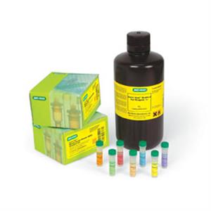 5000204 | Quick Start Bradford Protein Assay Kit 4