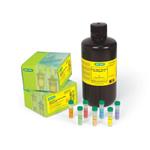 5000204 | Quick Start Bradford Protein Assay Kit 4