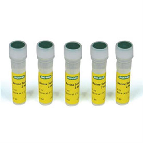 5000206 | Quick Start Bovine Serum Albumin Std