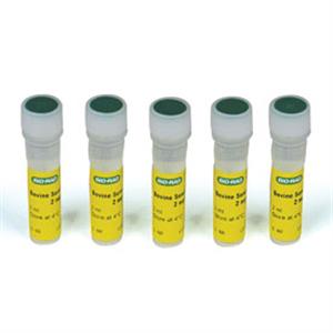 5000206 | Quick Start Bovine Serum Albumin Std