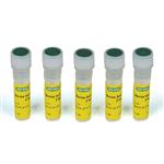 5000206 | Quick Start Bovine Serum Albumin Std