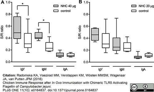 AAI27 | GOAT ANTI CHICKEN IgM