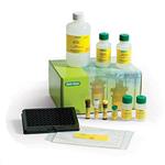 M500KCAF0Y | Bio Plex Pro Human Cytokine 27 plex