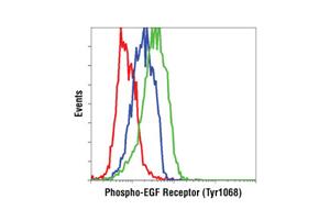 11862S | PhosphoPlus ® EGFR (Tyr1068) Antibody Duet